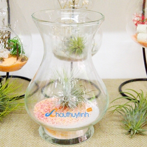 Chậu Thủy Tinh C025