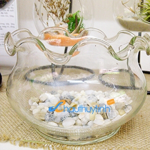 Chậu Thủy Tinh C029