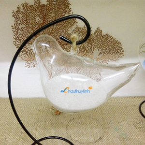 Chậu Thủy Tinh CTM06