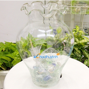 Chậu Thủy Tinh C020