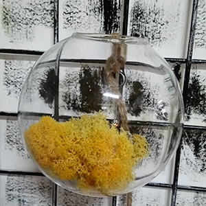 Chậu Thủy Tinh CT19